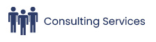 Consulting Services